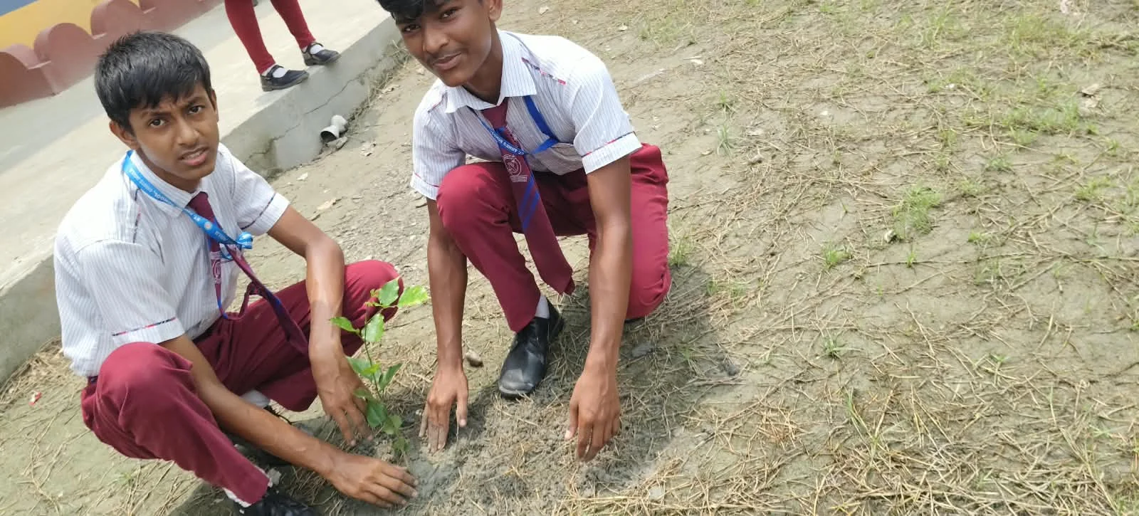 Tree planting day '26 - 1000172196_20260921190752735098_57974c.webp