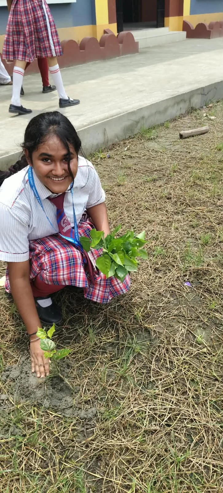 Tree planting day '26 - 1000172198_20260921190755650441_d4ac3c.webp