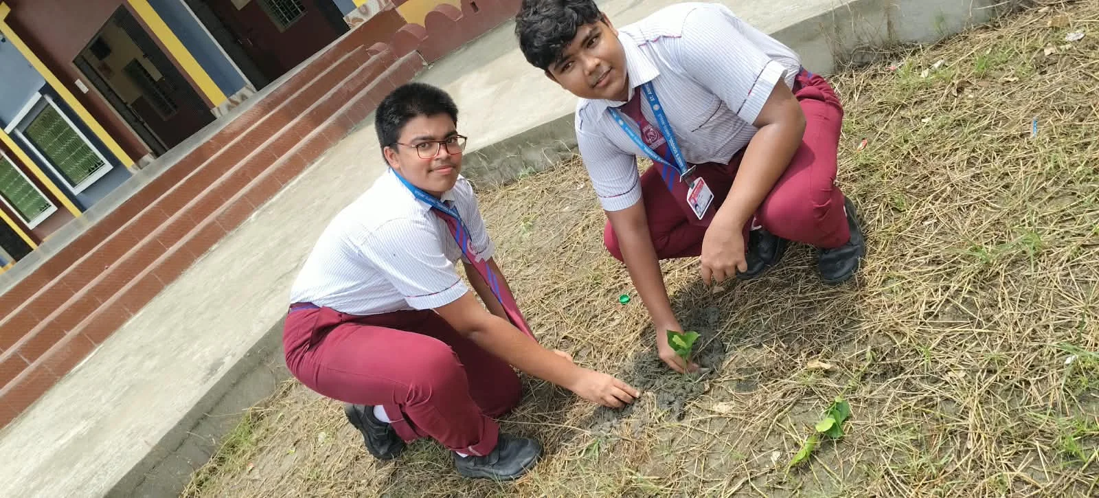 Tree planting day '26 - 1000172200_20260921190756387798_8571e5.webp