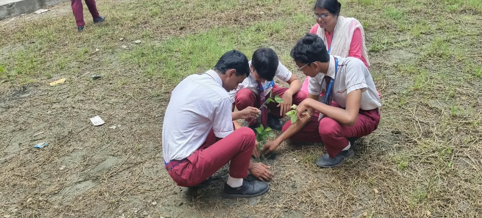 Tree planting day '26 - 1000172204_20260921190759910003_a7997b.webp