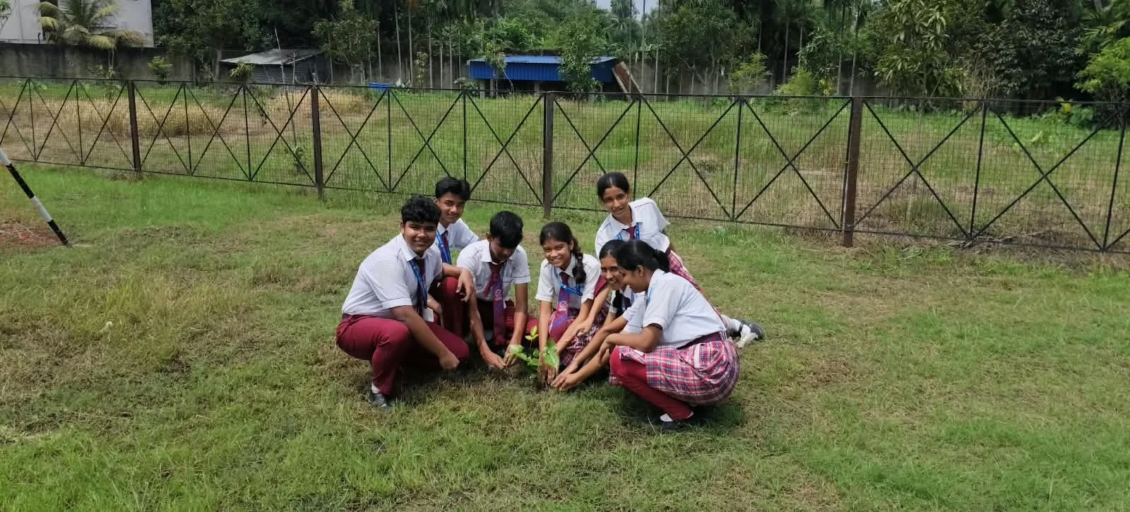 Tree planting day '26 - 1000172212_20260921190803457286_d21c69.webp